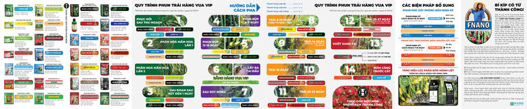 Phương pháp bón thanh long điển hình