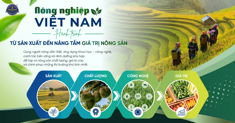 Nông nghiệp Việt Nam - Hành trình từ sản xuất đến nâng tầm giá trị nông sản