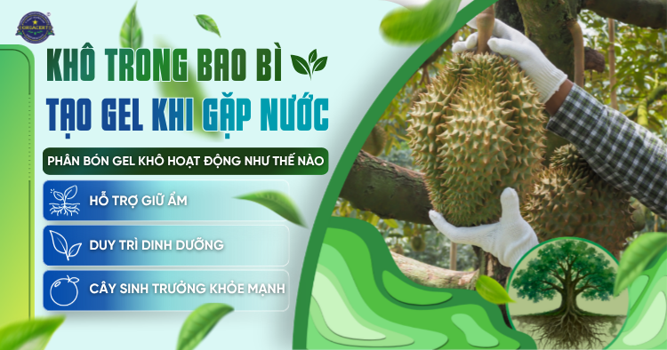 Khô trong bao bì, tạo gel khi gặp nước: Phân bón gel khô hoạt động như thế nào?