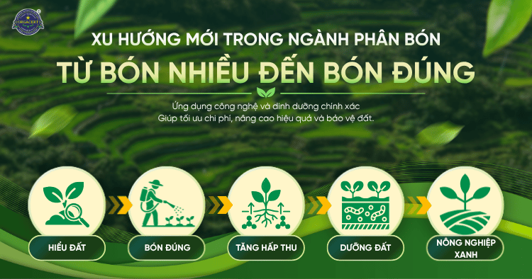 Xu hướng mới trong ngành phân bón: Từ bón nhiều đến bón đúng, từ năng suất đến bền vững