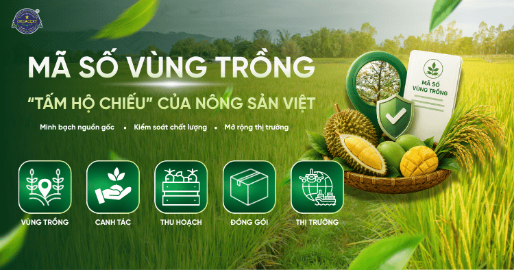 Mã số vùng trồng - “Tấm hộ chiếu” của nông sản Việt