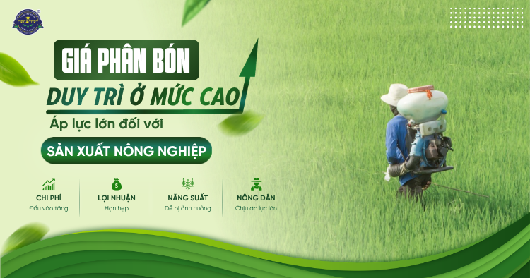 Giá phân bón duy trì ở mức cao: Áp lực lớn đối với sản xuất nông nghiệp