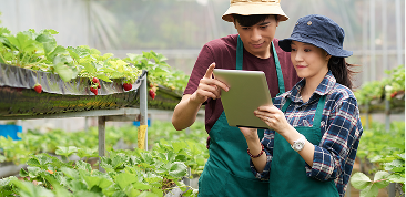 Đảm bảo nguồn gốc minh bạch