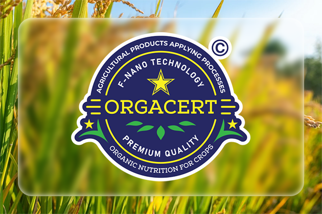 Phương pháp bón lúa điển hình