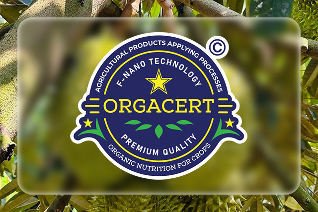 Phương pháp bón sầu riêng điển hình