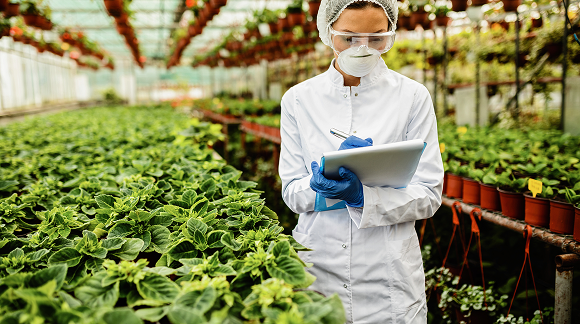 Tham gia chứng nhận Orgacert để được đánh giá chất lượng OM.GAP