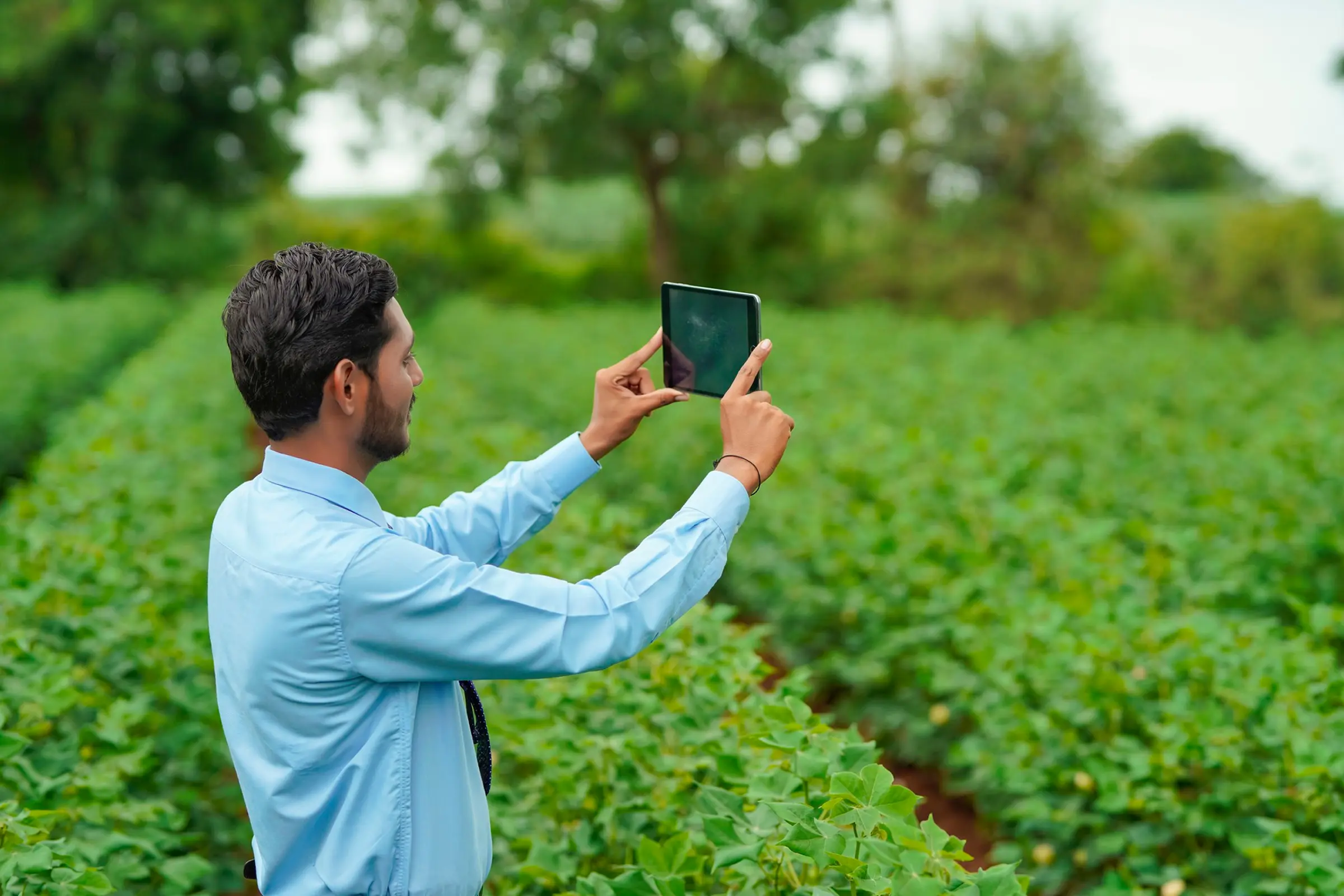 <p>Chứng nhận công nghệ</p>

<p><span style="color:#fbbf24;">Polymer Gel</span></p>
