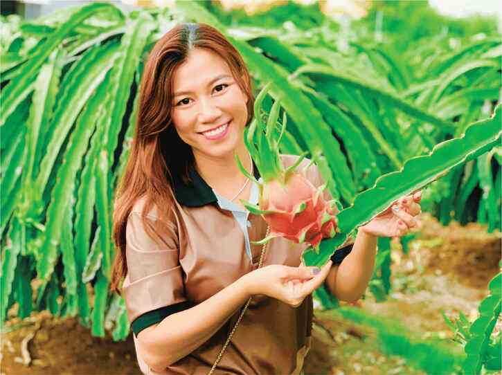 6711dcc6-d762-4c61-855d-290df8a1482f